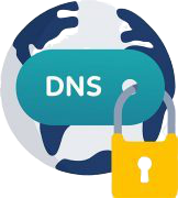 自定義 DNS