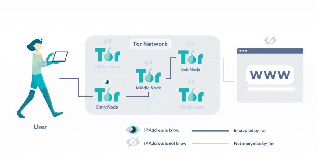 Tor browser vs как скачать с тор браузера торрент hydraruzxpnew4af