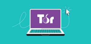 10 Tor & Dark Web Links To Explore Safely In 2024 - Surfshark