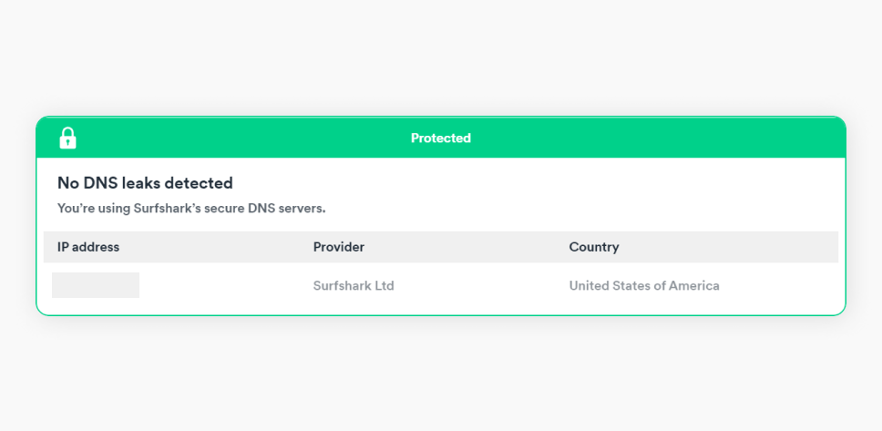 Ventana de prueba de fuga de DNS que muestra las solicitudes DNS como protegidas