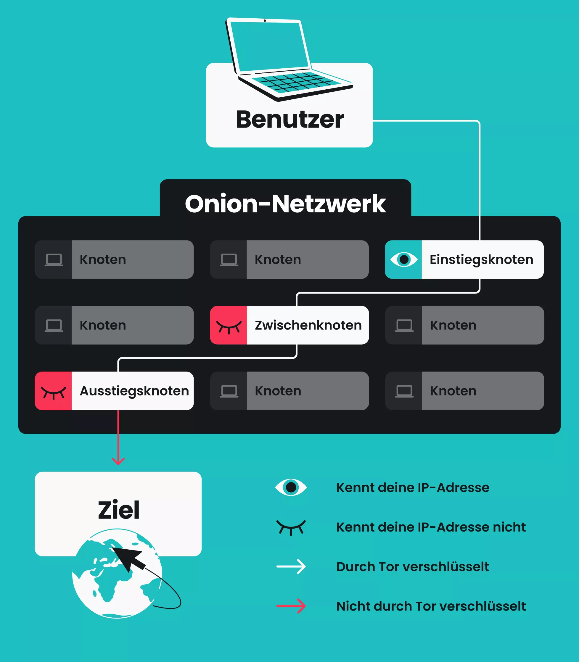 Ein Diagramm, das ein Benutzergerät zeigt, welches über Eintritts-, Zwischen- und Austrittsknoten mit einem Ziel im Tor-Netzwerk verbunden ist.