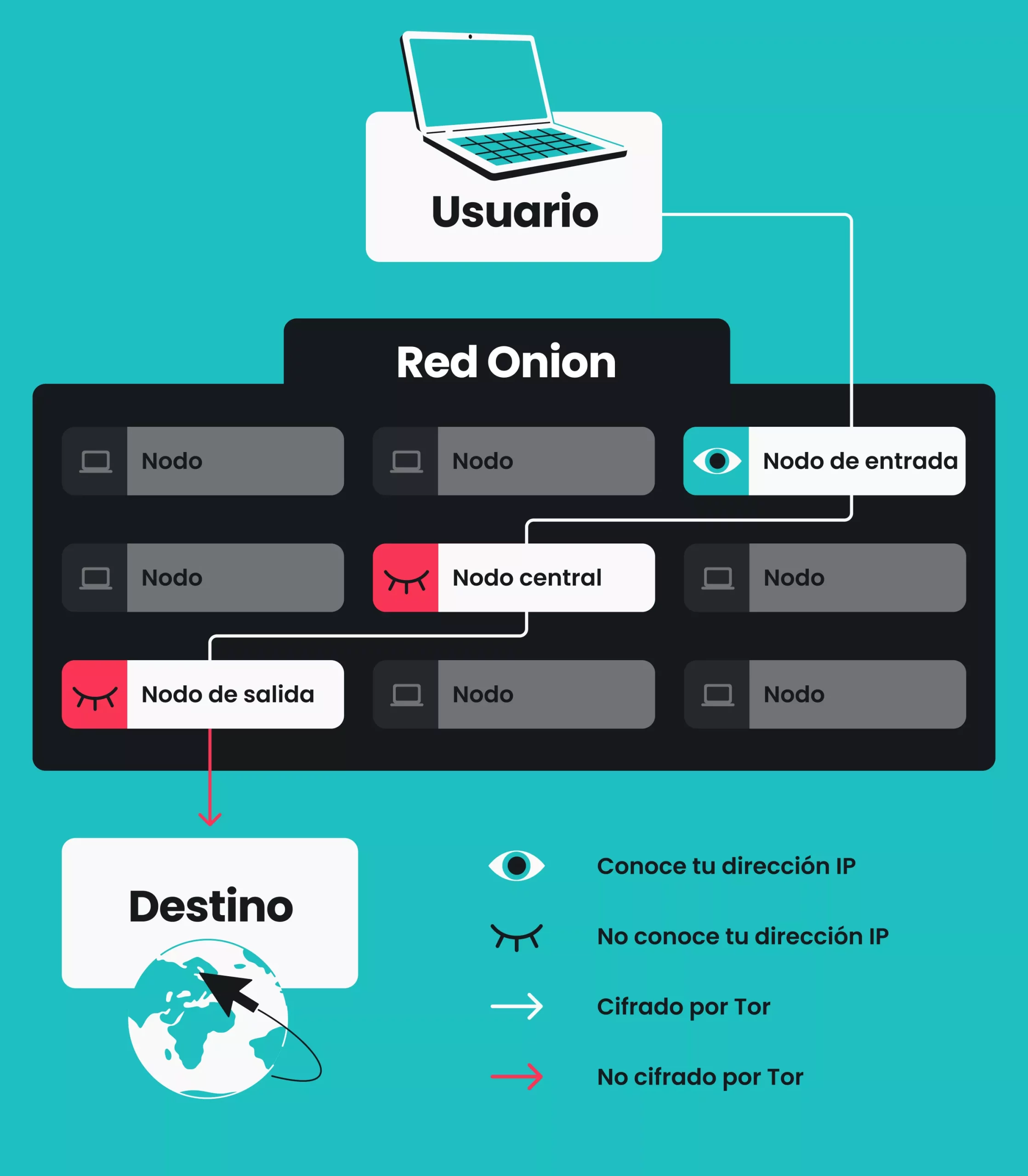 Diagrama que muestra un dispositivo de usuario conectado a través de nodos de entrada, intermedios y de salida a un destino en la red Tor. 