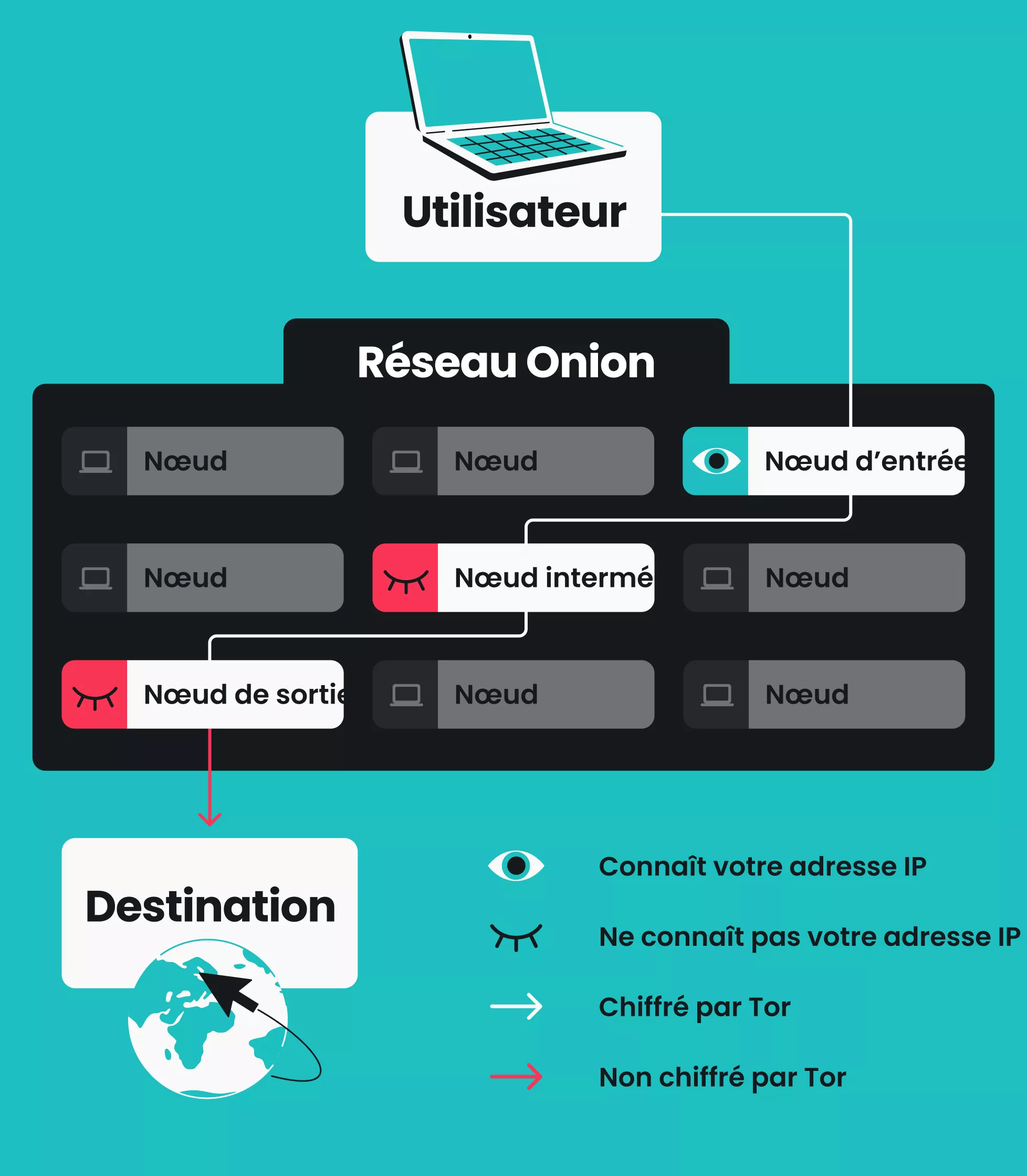 Schéma illustrant un appareil utilisateur connecté à une destination du réseau Tor par le biais de nœuds d’entrée, intermédiaires et de sortie.