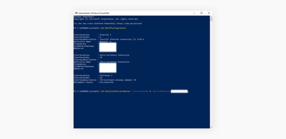 Screenshot of a Windows PowerShell console showing network parameters for setting up a DNS server.
