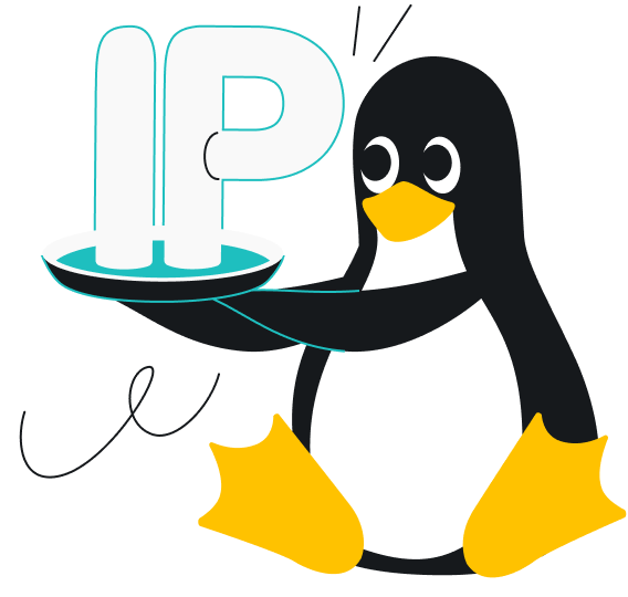 Dedicated IP is now on Linux!