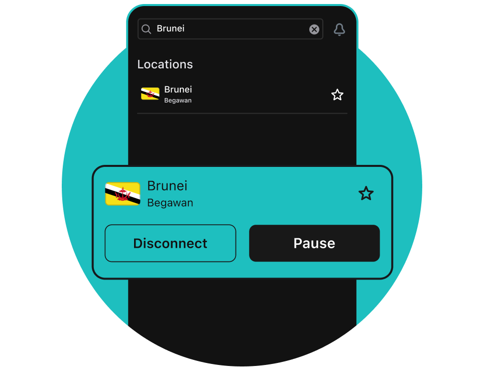 Complete online security and privacy in Brunei